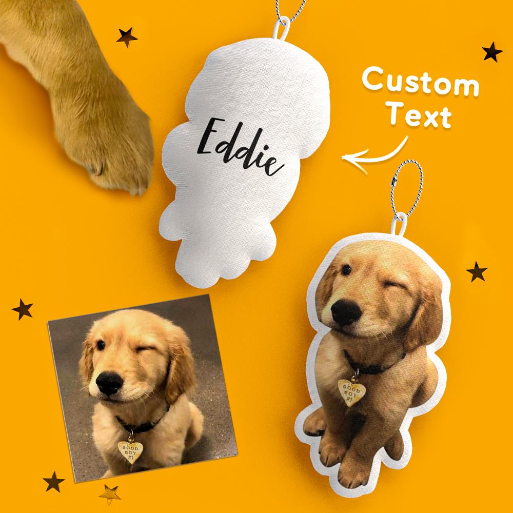 custom pet pillow keychain personalized photo name gifts